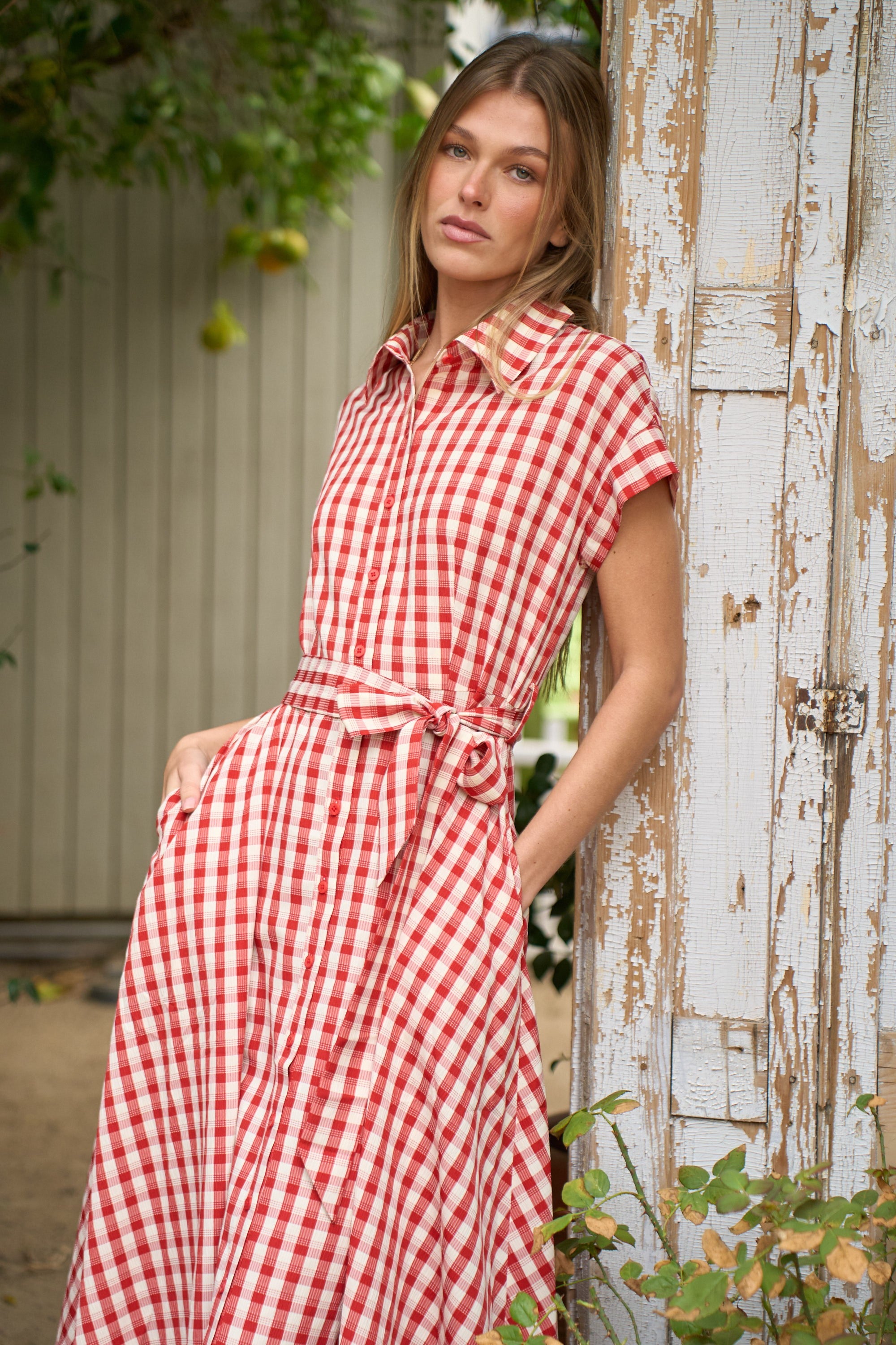 JBJ Curvy Gingham Collared Midi Dress w/ Waist Tie