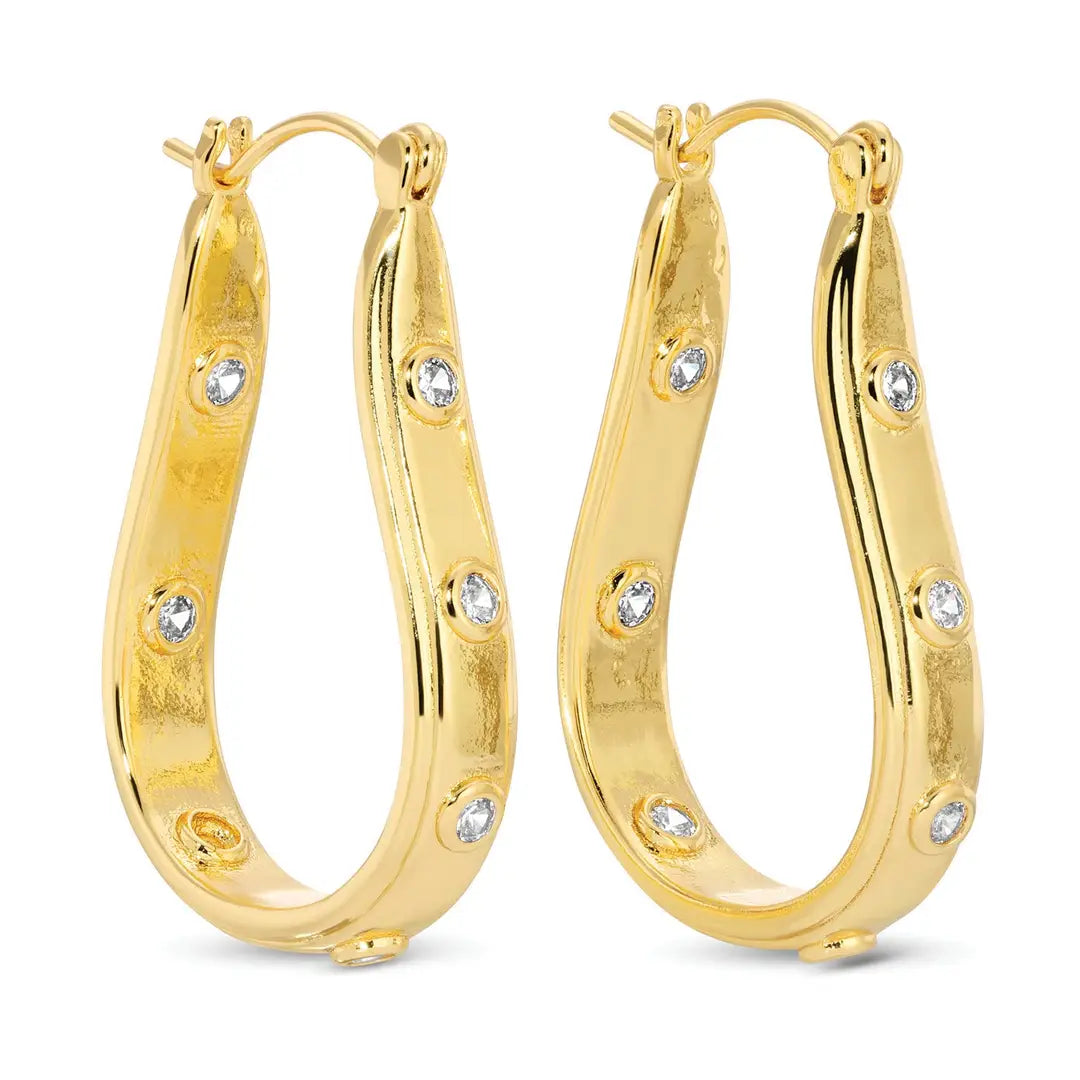 Splendid Iris Petite Oblong Latchback Earrings