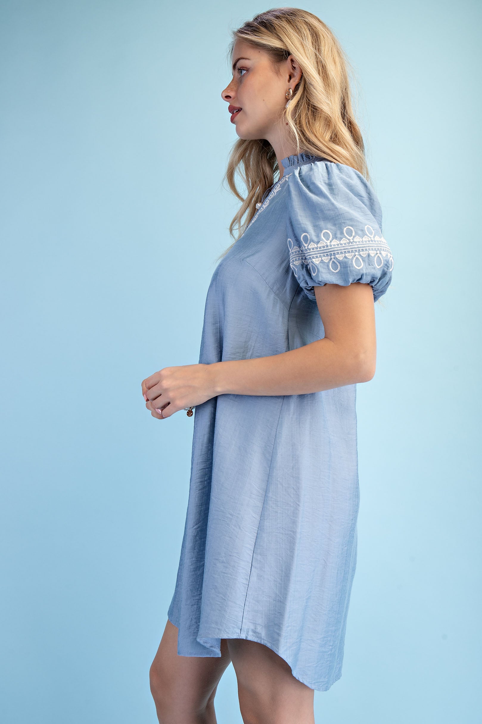 Gigio Embroidered V Neck Mini Dress w/Ruffle Neck