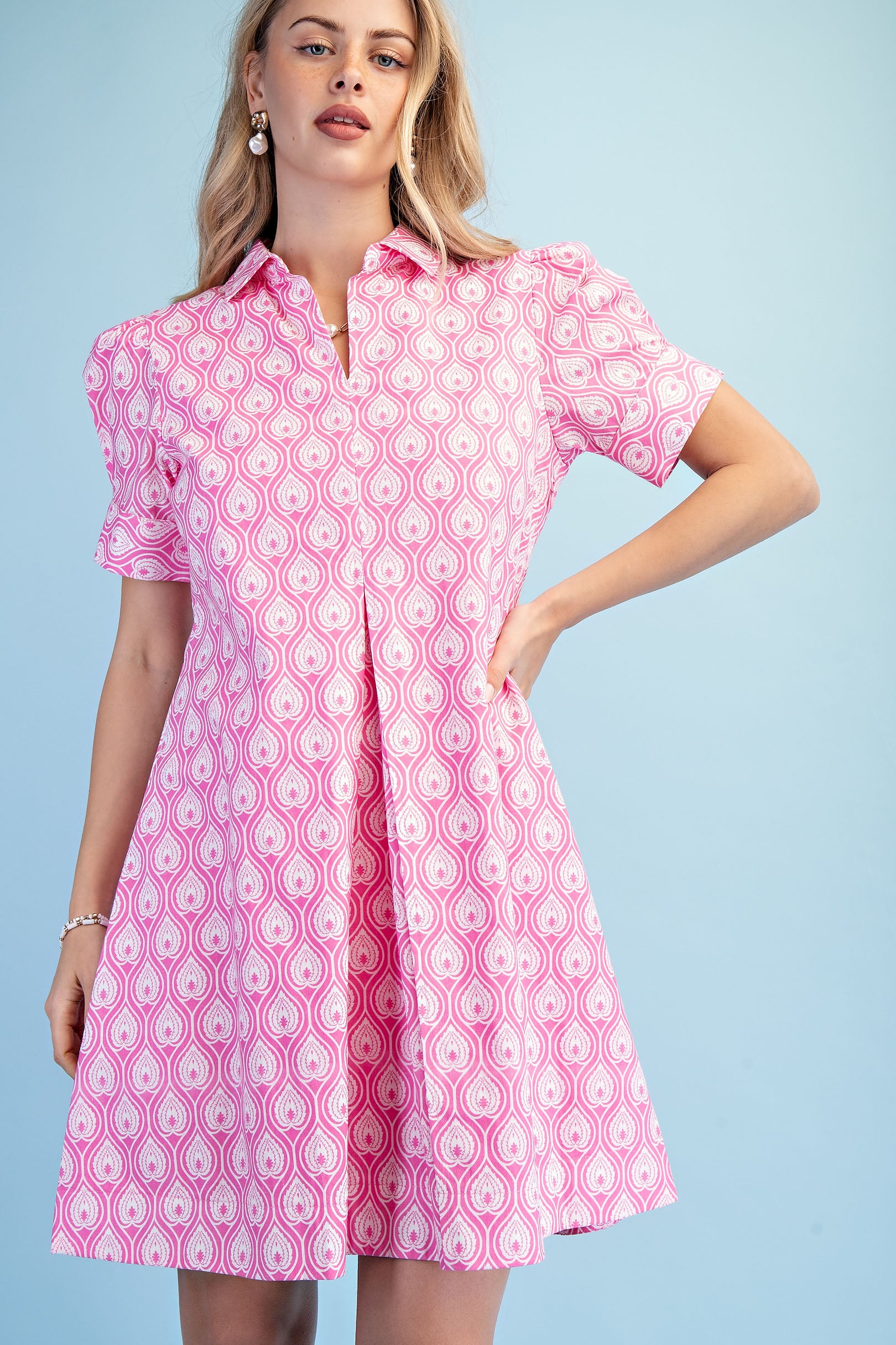Gigio Printed A-Line Collared Mini Dress